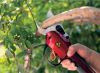 telescopic pruning scissors