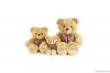 Teddy Family Plush Toys