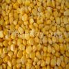 Supply China Frozen Sw...