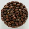 Fresh Dates 
