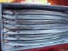 Frozen Eel Fish