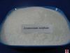 Ammonium Sulphate