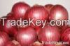 [HOT] shallot onion/sm...