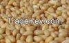 PINE NUTS, COCONUT, KO...