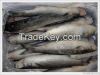 Atlantic Herring Whole