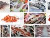 fish,frozen grouper,fr...