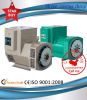 TWG SERIES THREE PHASE BRUSHLESS SYNCHRONOUS GENERATOR