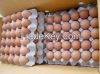 Fresh Chicken Eggs / F...