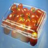 Plastic Injection Food...