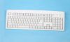 computer keyboard plas...