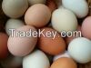 FRESH EGGS GRADE &acir...