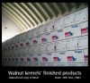 walnut kernels