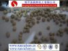 Magnesium Sulphate Monohydrate Kieserite granular