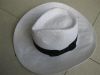 Cowboy hat