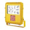 LED explosion proof light