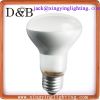 Incandescent Reflector Bulb  keep warm reptile care flood light