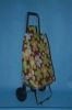Fashion foldable econo...