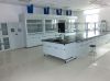 Steel Wood Fume Hood