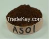 Supply Alkalized Cocoa...