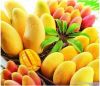 fruit juice processing...