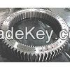 Involute Spur Gear Ring