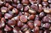 Fresh Chestnuts / Raw ...