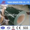 Prepainted galvanized Steel Coil (PPGI/PPGL)