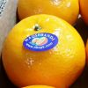 Fresh Mandarin (Kino) Oranges from Pakistan