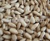 Peeled Sunflower Seed ...