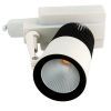 Track Light 30W/10W
