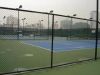 chain link fence