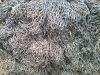 EG Ordinary Mild Steel Link Chain