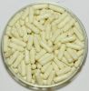 Empty capsule, Empty gelatin capsule