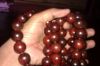 red sanders, beads, logs, furniture, oil, handicrafts, etc.. 