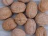 Walnuts in shell or ke...