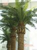 artificial date palm tree