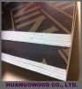 hardwood poplar marineplex construction film faced plywood