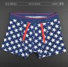 2014 new arrived Baby boy's cotton underwear kids boy cotton underpants high quality boy's boxer 