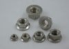 steel stainless nuts