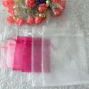 Sheer Organza Bag 