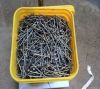 common nails