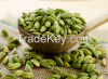 Green Cardamom