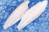 Pangasius
