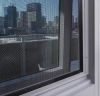 Security Window Screen...