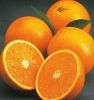 Oranges