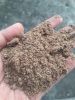 Palm Kernel Meal / Pal...