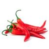 Chilli 