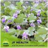 Pueraria Flavonoids - ...