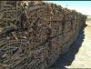 Licorice Roots