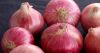 Red Onions